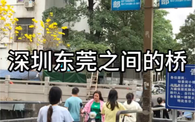 深圳房东最想拆掉的桥，一条连接深圳和东莞的桥