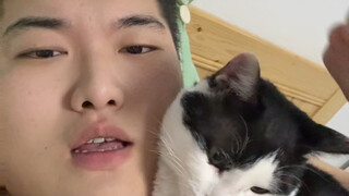 สำรวจแมวทุกตัวที่ฉันเคยเลี้ยง