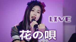 [Live]Cover <Hana no uta>|<Fate/stay night [Heaven's Feel] Aimer