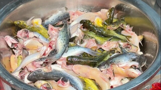 Ikan air dingin acar cabai di jalanan Chongqing pedas dan harum, dan sangat lezat untuk dimakan begi