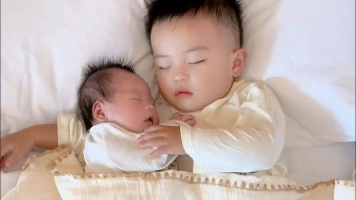 When I saved so many shots of Dabao and Erbao asleep and just waking up…