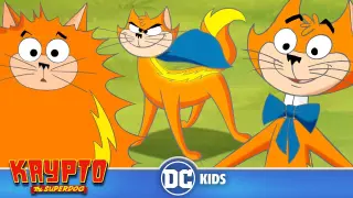 Krypto The Superdog | The Best Of Streaky The Supercat 🐱 | @DC Kids