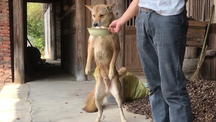 ยืนหยัดเพื่อปากท้อง! ยังไงก็ต้องหาเงินเลี้ยงปากท้องนี่นา~