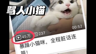 她到底骂了啥？家里猫全炸毛了…