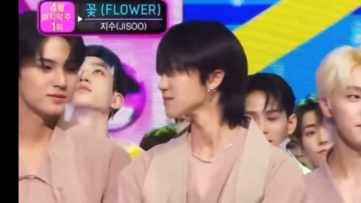 Wen Junni and DK’s cats and dogs are all “flowering” themselves; Xiao Ba even has his own dog to “fl