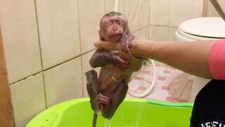 Cute Baby Liheang Routine Taking The Bath