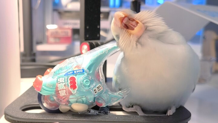 Plush toys have their heads scratched by plastic toys 🥰 Plush toys and plastic toys are sleeping 🥹