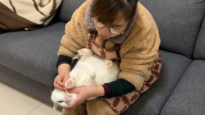 That mom who used to oppose me getting a cat now...