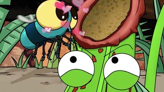 Nepenthes: Sulit sekali mendapatkan makanan akhir-akhir ini