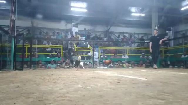 3rd fight Gray Win