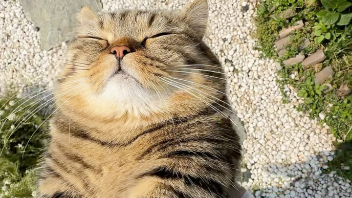 You could’ve told me to turn on the AC earlier