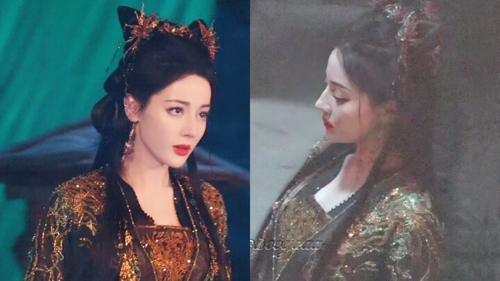 Con mèo vàng đen xuất hiện ở Guixu! Anh ấy bước đi oai vệ nhưng kiểu tóc của anh ấy thật đáng yêu! T