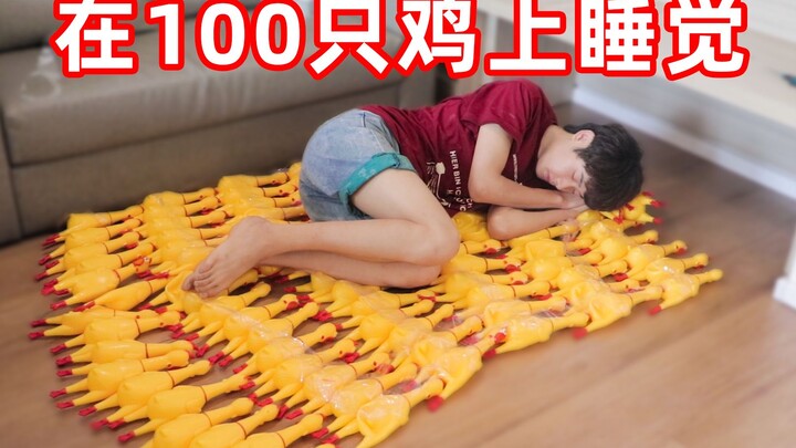 Sleeping on 100 screaming chickens caused neighbors to smash the ceiling