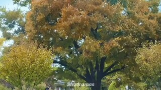 Spring of youth episode 1