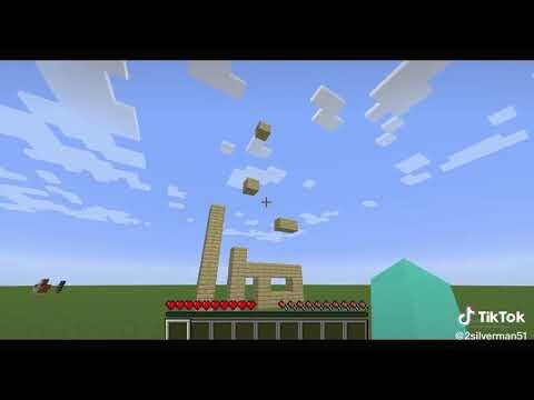 Minecraft tiktok