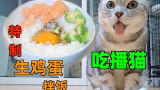 Why does this cat eat even more deliciously than mukbang? Specially made raw egg rice for cats!