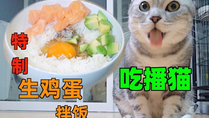 Why does this cat eat even more deliciously than mukbang? Specially made raw egg rice for cats!