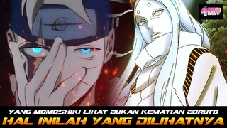 YANG MOMOSHIKI LIHAT BUKAN KEMATIAN BORUTO | INI YANG SEBENARNYA DILIHAT MOMOSHIKI