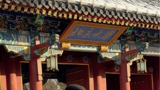 Peking University is indeed affordable and more cost-effective!
