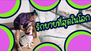 โลกของแสนดี ตอน นั่งดูฝนตกกับยาย