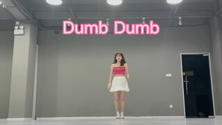 dumb dumb 翻跳