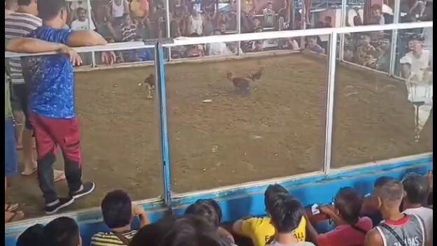 My allen round head first encounter October 5 2023