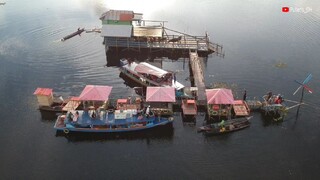 Wisata Kerbau Rawa (Kalang Hadangan) Di kampung halaman saya, Nagara Daha-HSS-kalsel.