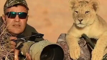 كنت أظن أنهم يستخدمون تقنيات عالية، لكن اتضح أنها أبسط طريقة: تصوير الحياة البرية وجهًا لوجه في معلو