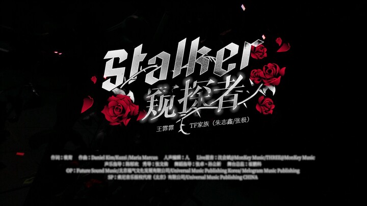 【登陆计划】TF家族三代出道实录《登陆日》二公 「在此刻相遇」（下）《stalker窥探者》纯享舞台