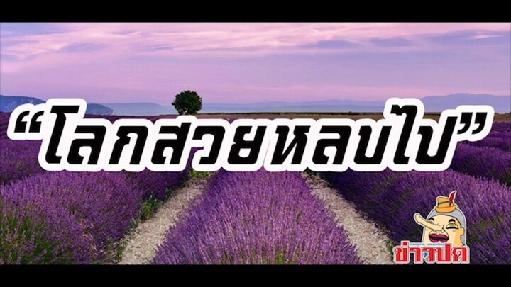 โลกสวยหลบไป สุดยอดวลีฮิต ตลาดล่าง