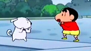 ⚡️小白：虽然我不是人，但你是真的狗⚡️