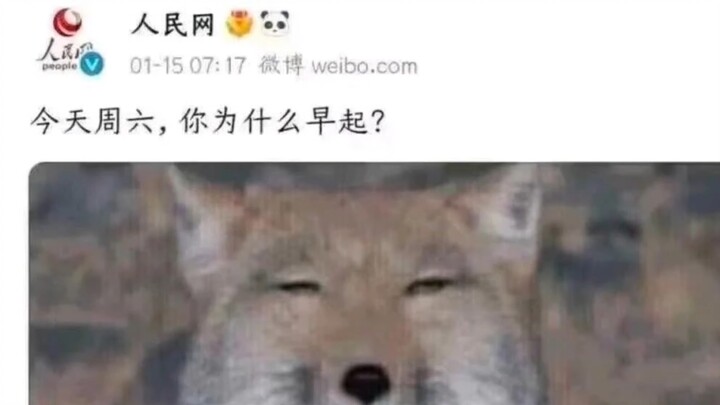 People’s Daily: It’s Saturday today—why did you get up so early? (Censored)