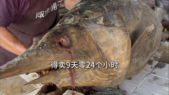 Linyi Big Bro Sells Salted Fish: Meat at 30 RMB per jin, Fish Heads for 330 RMB each—Stewed Eggplant