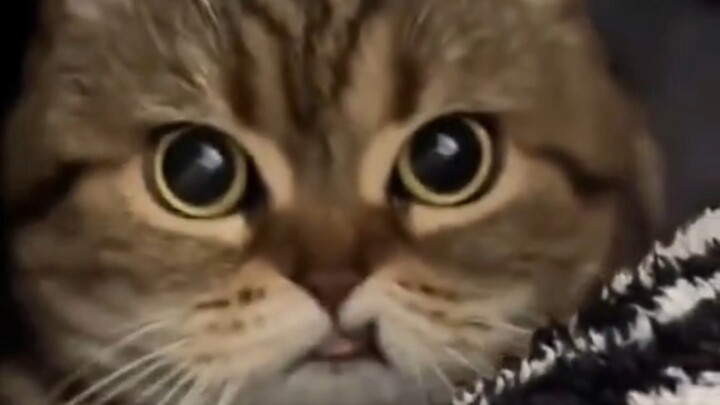 Peringatan ramah: Dilarang masuk bagi penderita hipertensi