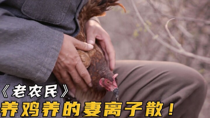 Một nông dân lén nuôi một con gà mái già, nào ngờ bị chụp mũ là “tư bản” và cả nhà bị phá tan.