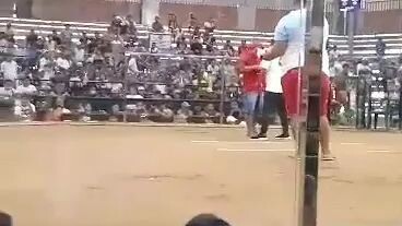 Early bird Ng RCO GF