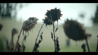 Pieces of Her: Danh tính ẩn giấu EP 7 [Sub Việt]