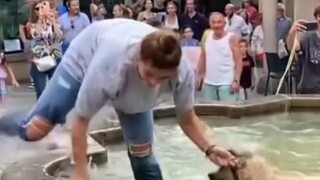 قفز الكلب إلى النافورة أمام الجميع، وحاول صاحبه القبض عليه ثلاث مرات دون جدوى، مما أحرج صاحبه!