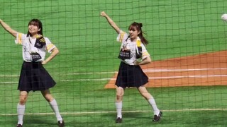 146 and Show dance the SoftBank Hawks cheering dance