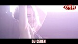 DJ Ceren - Phtink Discov (Original Mix)