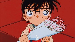 Conan miệng rất ghê tởm, nhưng thân thể lại rất thành thật! ! Tôi muốn đăng nhãn dán với vợ tôi mỗi 