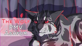 ◁ WARRIORS ▷ Ashfur | The Wolf | PMV