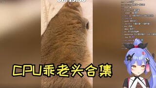 【阿梓】像你这样的小猫出去都没人要，也就只有我才能对你这么好了