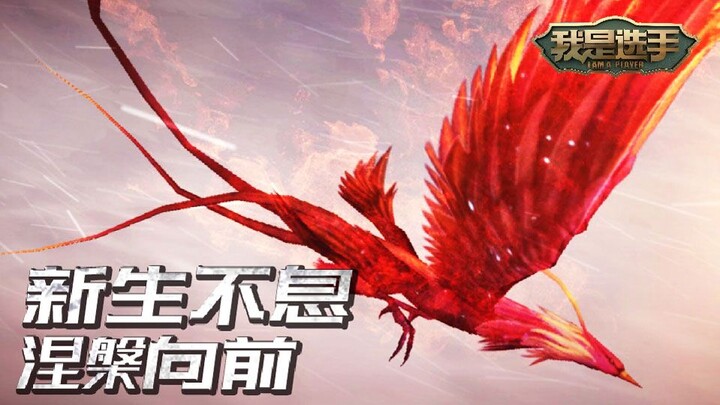Giải vô địch thế giới 2019: Tôi là một thí sinh! Một cuộc đời tái sinh bất tận, một hành trình tái s