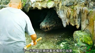 动物在遭受危险的时候也会奋力反击
