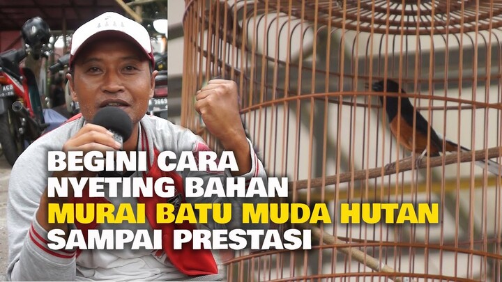 BEGINI CARA NYETING BAHAN MURAI BATU MUDA HUTAN SAMPAI PRESTASI
