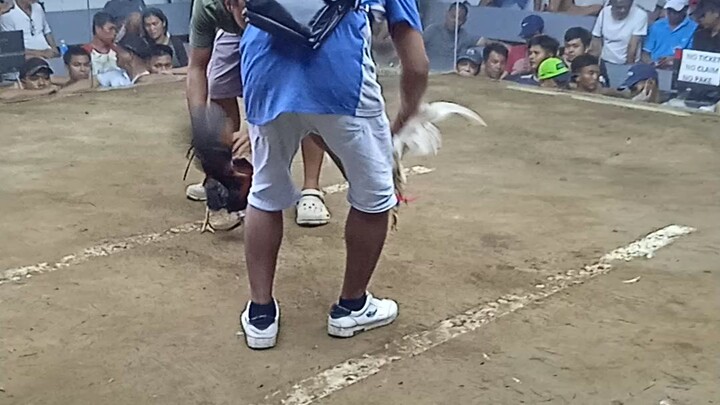 panalo SI puti..hehe