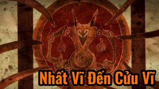 Nhất Vĩ Đến Cửu Vĩ