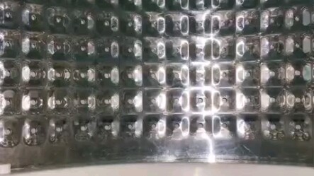 อากูมอนวิวัฒนาการ…