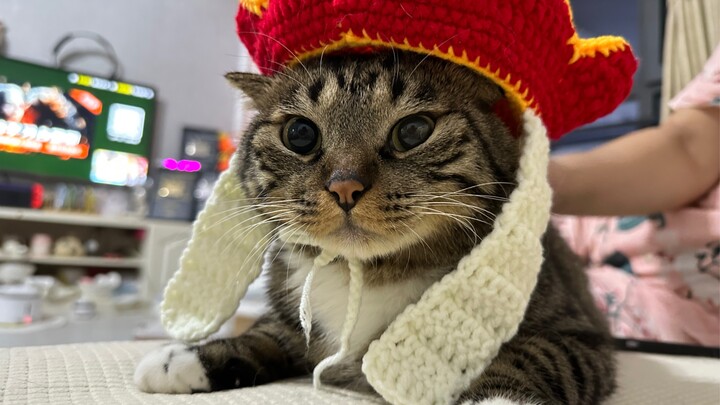 พระแม่สือจีต่อสู้กับถังซั่งเสี่ยวเหมียว!